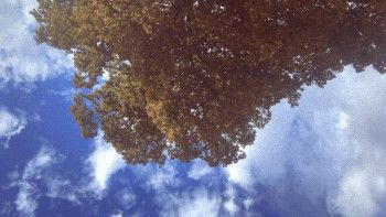 Upside down